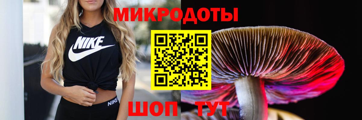 Галлюциногенные грибы мухоморы  Галлюциногенные грибы Magic Shrooms  Пушкино  наркошоп  Вход с VPN 