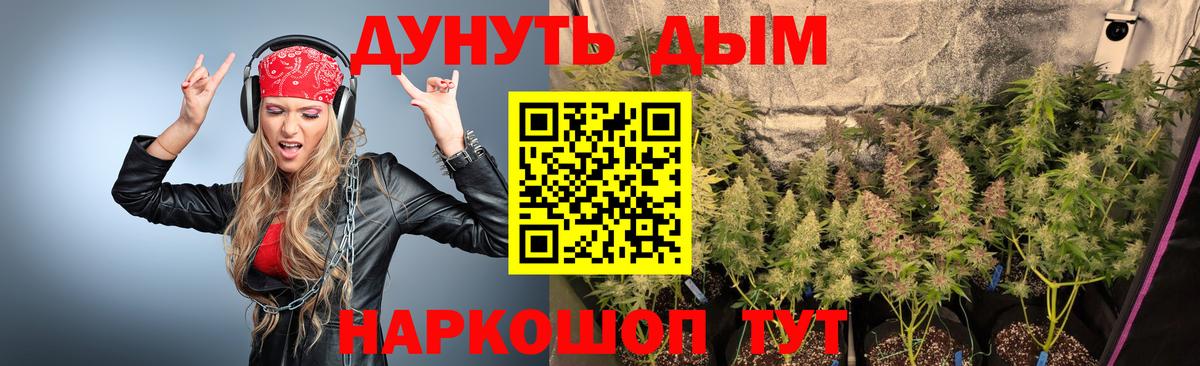 Канабис план  Вход с VPN  Канабис гибрид  Пушкино  Бошки Шишки VHQ 